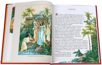 Купить книгу «Библия в рассказах для детей», автор  | Книжный магазин ULYSSES.MD Книга «Библия в рассказах для детей» -  твердый переплёт, кол-во страниц - 144, издательство «ИМП»,  ISBN 978-5-88017-102-6, 2025 год