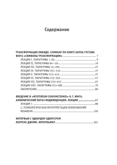 Книга «Осмысляя Юнга» - автор Эдингер Эдвард Ф., твердый переплёт, кол-во страниц - 224, издательство «Касталия»,  ISBN 978-5-519-60739-1, 2016 год