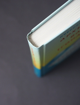 Книга «Духовная жизнь в меняющемся мире. 12 слов о спасении» - автор Василий (Гондикакис) архимандрит , твердый переплёт, кол-во страниц - 272, издательство «Никея»,  серия «Афонская традиция. XXI век», ISBN 978-5-907202-97-9, 2020 год