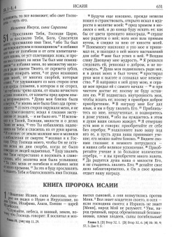 Книга «Библия. Книги священного Писания Ветхого и Нового Завета. Подарочное издание» -  твердый переплёт, кол-во страниц - 1226, издательство «Ковчег»,  ISBN 978-5-6048790-0-9, 2023 год