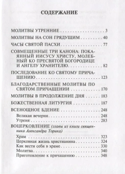 Книга «Толковый молитвослов с текстами Литургии и Всенощного бдения» -  твердый переплёт, кол-во страниц - 352, издательство «Терирем»,  ISBN 978-5-4247-0030-9, 2015 год