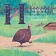 Книга «Не тревожьте носорога. Азбука» - автор Орлова Анастасия Александровна, твердый переплёт, кол-во страниц - 64, издательство «Глагол»,  серия «Строчка за строчкой с сыном и дочкой», ISBN 978-5-6043455-0-4 , 2020 год