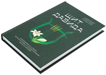 Книга «Щит Давида. Толкование псалмов, используемых в православном богослужении» - автор Александр Сатомский священник , твердый переплёт, кол-во страниц - 288, издательство «Никея»,  серия «Библеистика», ISBN 978-5-907984-86-8, 2025 год