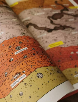 Книга «Животные затерянного мира» - автор Лавердан Дамьен, твердый переплёт, кол-во страниц - 72, издательство «Пешком в историю»,  серия «Мир вокруг нас», ISBN 978-5-906994-78-3 , 2020 год