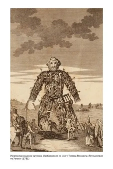 Книга «Золотая ветвь. Магия и религия от ритуальных трапез до переселения душ» - автор Фрэзер Джеймс Джордж, мягкий переплёт, кол-во страниц - 640, издательство «Колибри»,  серия « КоЛибри NonFiction», ISBN 978-5-389-29091-4, 2025 год