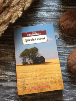Книга «Гроздья гнева» - автор Стейнбек Джон, мягкий переплёт, кол-во страниц - 608, издательство «Азбука»,  серия «Азбука-классика (pocket-book)», ISBN 978-5-389-04994-9 , 2024 год