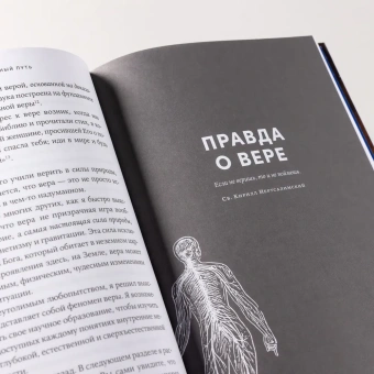 Книга «Поверь и увидишь. Путь ученого от атеизма к вере» - автор Гиллен Майкл, твердый переплёт, кол-во страниц - 333, издательство «Альпина Паблишер»,  ISBN 978-5-9614-9422-8, 2025 год