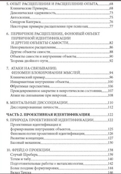Книга «Расщепление и проективная идентификация» - автор Гротштейн Джеймс С., твердый переплёт, кол-во страниц - 224, издательство «Институт общегуманитарных исследований»,  ISBN 978-5-88230-403-3, 2017 год