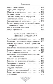 Книга «Свет миру: Из творений святителя Амвросия Медиоланского, блаженных Аврелия Августина и Иеронима Стридонского» -  твердый переплёт, кол-во страниц - 208, издательство «ИМП»,  серия «Популярная библиотека отцов и учителей Церкви», ISBN 978-5-88017-871-1 , 2020 год