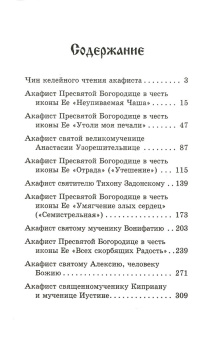 Книга «Акафистник в душевных болезнях "Помощь и защита"» -  твердый переплёт, кол-во страниц - 336, издательство «Благовест»,  ISBN 978-5-9968-0587-7 , 2018 год