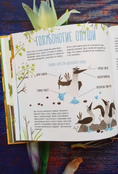 Книга «Папа, мама, я – звериная семья» - автор Гюнтер Евгения Евгеньевна, твердый переплёт, кол-во страниц - 44, издательство «Пешком в историю»,  серия «Мир вокруг нас», ISBN 212-5-094-16888-2, 2019 год