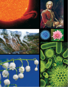 Книга «Птицы, рыбы и слоны... Занимательная книга школьника» - автор Медведева Надежда Сидоровна, твердый переплёт, кол-во страниц - 160, издательство «ИМП»,  ISBN 978-5-88017-445-4, 2022 год