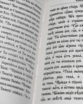 Книга «Псалтирь учебная. На церковно-славянском языке, гражданским шрифтом и в переводе П. Юнгерова» -  твердый переплёт, кол-во страниц - 848, издательство «Дар»,  ISBN 978-5-485-00758-4, 2024 год