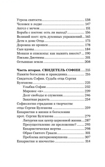 Книга «Апельсиновые святые» - автор Савва (Мажуко) архимандрит , твердый переплёт, кол-во страниц - 336, издательство «Никея»,  серия «Эссе о Боге», ISBN 978-5-907828-69-8, 2025 год