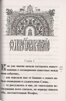 Книга «Святое Евангелие Господа нашего Иисуса Христа. Крупный шрифт» -  твердый переплёт, кол-во страниц - 479, издательство «Ковчег»,  ISBN 978-5-6040174-2-5, 2022 год