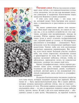 Книга «Птицы, рыбы и слоны... Занимательная книга школьника» - автор Медведева Надежда Сидоровна, твердый переплёт, кол-во страниц - 160, издательство «ИМП»,  ISBN 978-5-88017-445-4, 2022 год