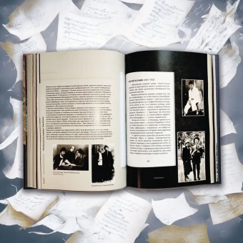 Книга «Серебряный век русской поэзии. Стихотворения и судьбы. Подробный иллюстрированный комментарий» - автор Жуйкова Елена Викторовна, твердый переплёт, кол-во страниц - 344, издательство «Проспект»,  серия «Книга в книге», ISBN 978-5-6049287-2-1, 2024 год