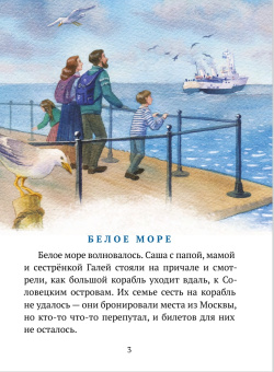 Книга «Путешествие на Соловецкие острова» - автор Горюнова-Борисова Анастасия Георгиевна, твердый переплёт, кол-во страниц - 64, издательство «ИМП»,  ISBN  978-5-88017-784-4 , 2019 год